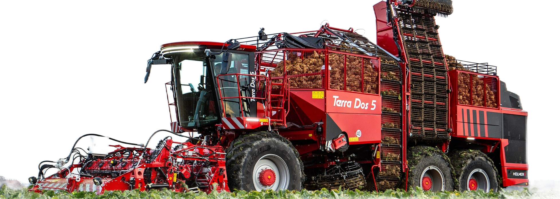 HOLMER Terra Dos 5